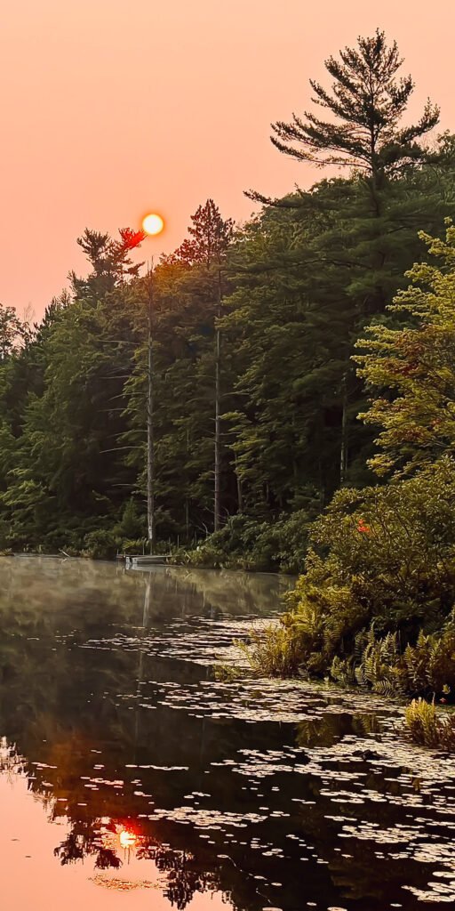 sunrise over the lake