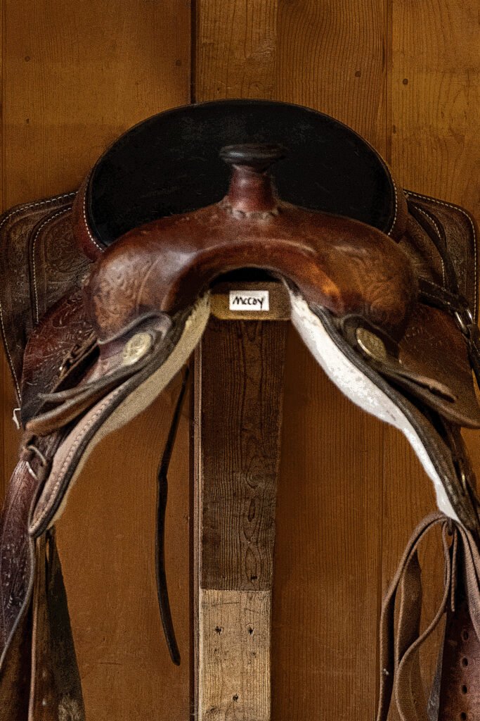 horse saddle
