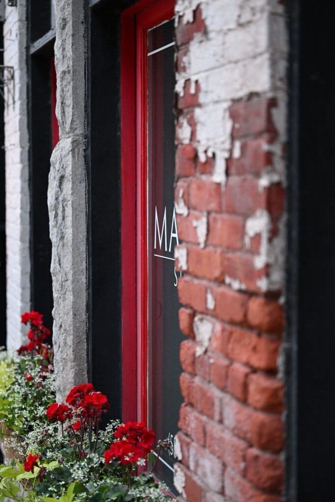red flowers and brick wall